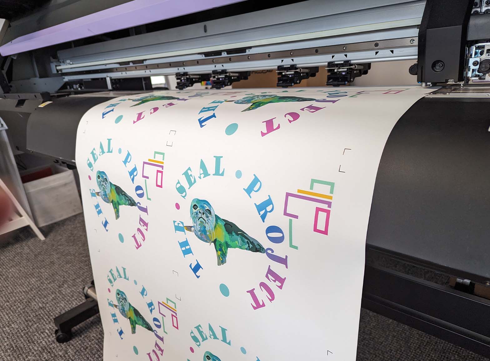 A photo of the Full Colour Vinyl Print process for a job for the Seal Project, completed by Clothing Your Way in Paignton, South Devon.